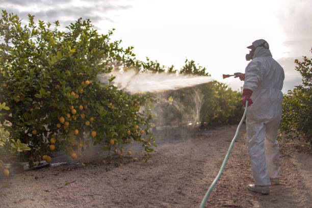 Best Best Pest Control Companies  in Wylie, TX