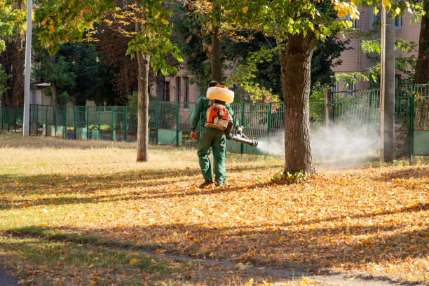 Best Pest Removal Services  in Wylie, TX