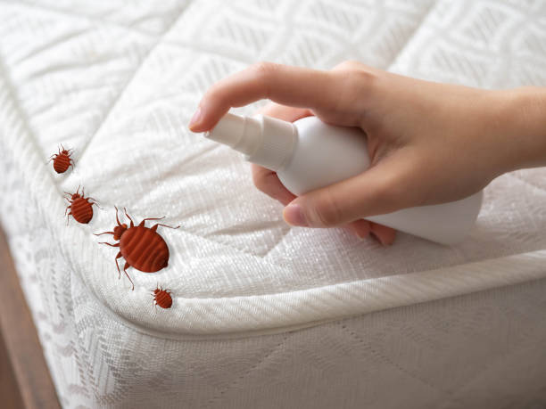 Best Pest Prevention Services  in Wylie, TX