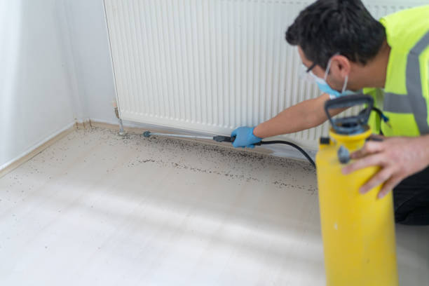 Best Pest Inspection Near Me  in Wylie, TX