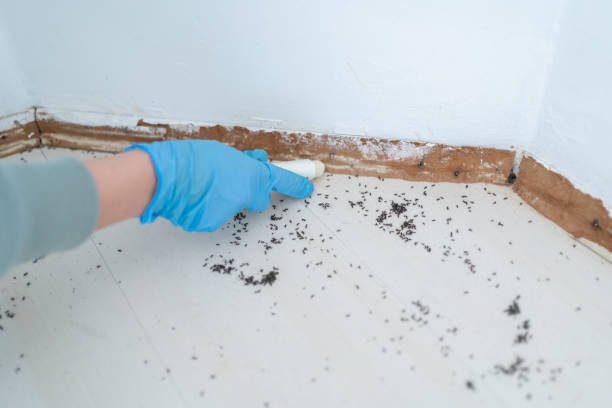 Best Commercial Pest Control Services  in Wylie, TX