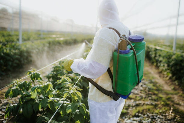 Wylie, TX Pest Control Company